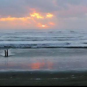 Meet your Posher, Danette